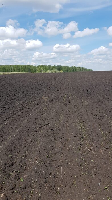 с. Каменноозёрское (городской округ Богданович) - фото земельного участка (1)