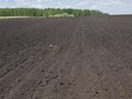 Продажа земельного участка: с. Каменноозёрское (городской округ Богданович) - Фото 1