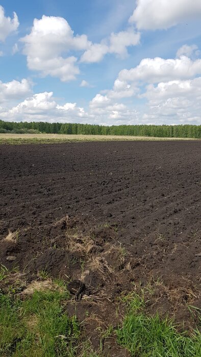 с. Каменноозёрское (городской округ Богданович) - фото земельного участка (2)
