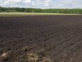 Продажа земельного участка: с. Каменноозёрское (городской округ Богданович) - Фото 2