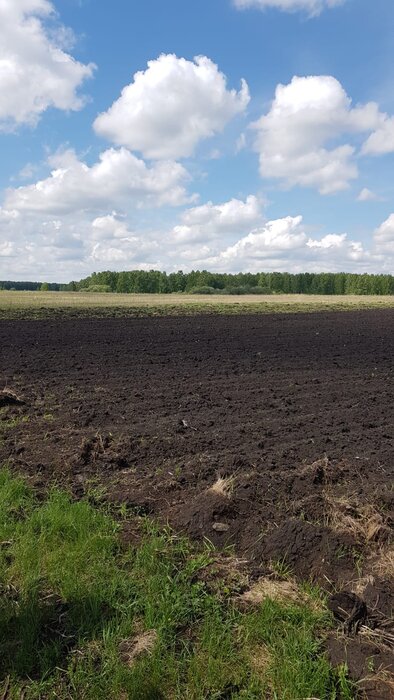 с. Каменноозёрское (городской округ Богданович) - фото земельного участка (3)