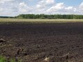 Продажа земельного участка: с. Каменноозёрское (городской округ Богданович) - Фото 3