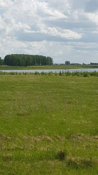 с. Каменноозёрское (городской округ Богданович) - фото земельного участка (4)