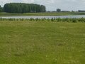 Продажа земельного участка: с. Каменноозёрское (городской округ Богданович) - Фото 4