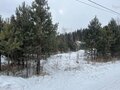 Продажа земельного участка: к.п. Улесье, ул. Улесье, 154 (Чкаловский район) - Фото 1