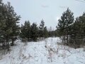 Продажа земельного участка: к.п. Улесье, ул. Улесье, 154 (Чкаловский район) - Фото 3