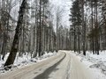 Продажа земельного участка: к.п. Улесье, ул. Улесье, 154 (Чкаловский район) - Фото 7