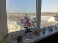 Продажа квартиры: Екатеринбург, ул. Бисертская, 131 (Елизавет) - Фото 8