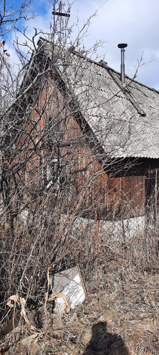 г. Нижний Тагил, УВЗ № 1, ул. 8-я Бригада, 101А (городской округ Нижний Тагил) - фото сада (1)