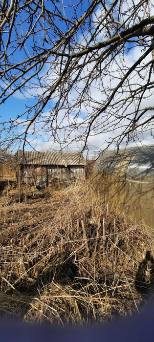 г. Нижний Тагил, УВЗ № 1, ул. 8-я Бригада, 101А (городской округ Нижний Тагил) - фото сада (2)