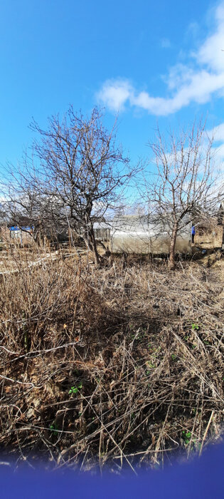 г. Нижний Тагил, УВЗ № 1, ул. 8-я Бригада, 101А (городской округ Нижний Тагил) - фото сада (8)