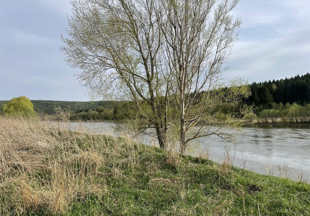 д. Зауфа, городской округ Красноуфимск, Пермское направление, 221, ул.Кирова, 26 (Выберите район) - фото земельного участка (3)