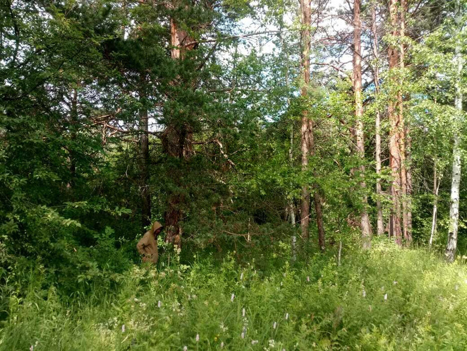 Екатеринбург, ул. Луговая, 4 (Верхнемакарово) - фото земельного участка (2)