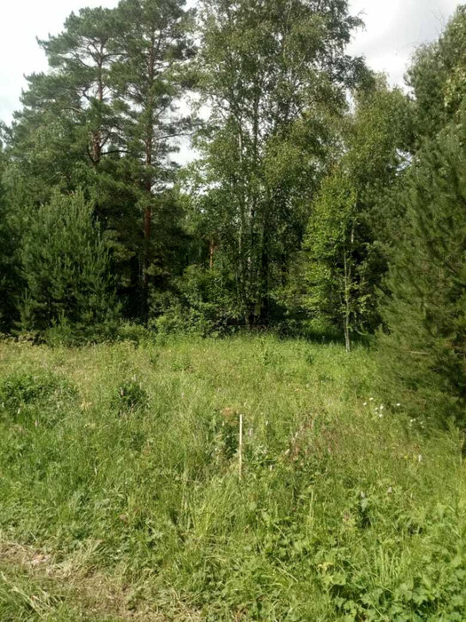 Екатеринбург, ул. Луговая, 4 (Верхнемакарово) - фото земельного участка (3)