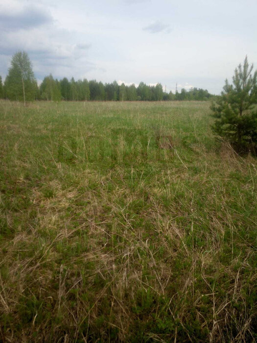 с. Курганово, к/с Родники (городской округ Полевской) - фото сада (1)