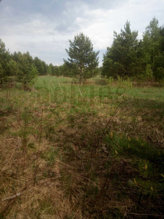 с. Курганово, к/с Родники (городской округ Полевской) - фото сада (2)