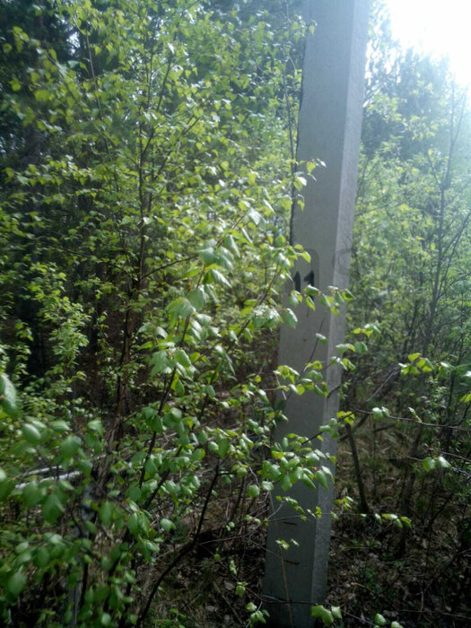 с. Курганово, к/с Родники (городской округ Полевской) - фото сада (5)