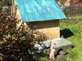 Продажа дома: п. Сагра, ул. Горького, 81 (городской округ Верхняя Пышма) - Фото 7