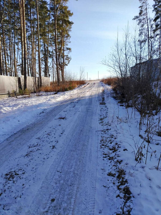 с. Черданцево, ул. Мирный (городской округ Сысертский) - фото земельного участка (2)