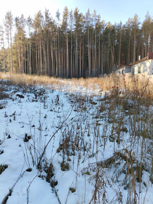 с. Черданцево, ул. Мирный (городской округ Сысертский) - фото земельного участка (3)