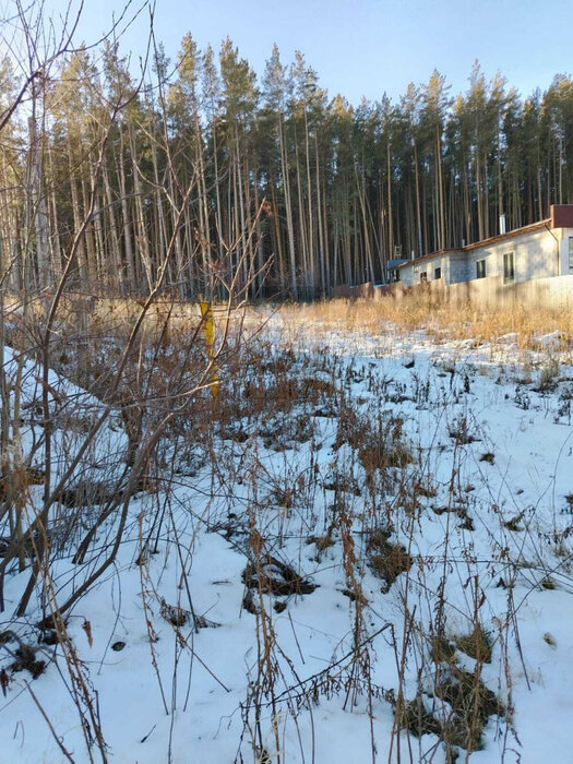 с. Черданцево, ул. Мирный (городской округ Сысертский) - фото земельного участка (5)