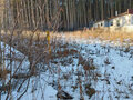 Продажа земельного участка: с. Черданцево, ул. Мирный (городской округ Сысертский) - Фото 5