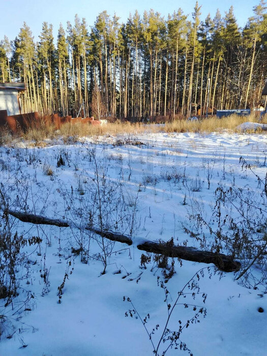 с. Черданцево, ул. Мирный (городской округ Сысертский) - фото земельного участка (6)