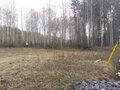 Продажа земельного участка: с. Новоалексеевское (городской округ Первоуральск) - Фото 3
