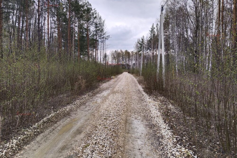 с. Новоалексеевское (городской округ Первоуральск) - фото земельного участка (4)