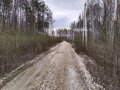 Продажа земельного участка: с. Новоалексеевское (городской округ Первоуральск) - Фото 4