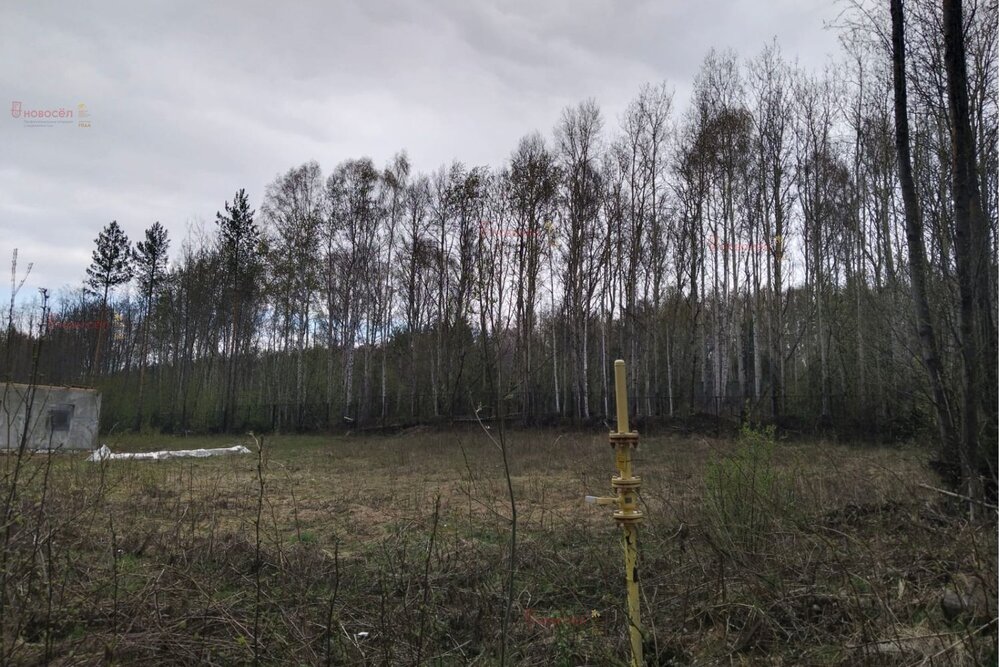 с. Новоалексеевское (городской округ Первоуральск) - фото земельного участка (5)