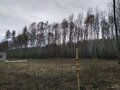 Продажа земельного участка: с. Новоалексеевское (городской округ Первоуральск) - Фото 5