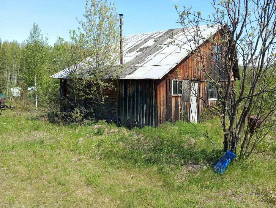 п. Аять, СНТ Надежда, уч. 80 (городской округ Невьянский) - фото сада (1)