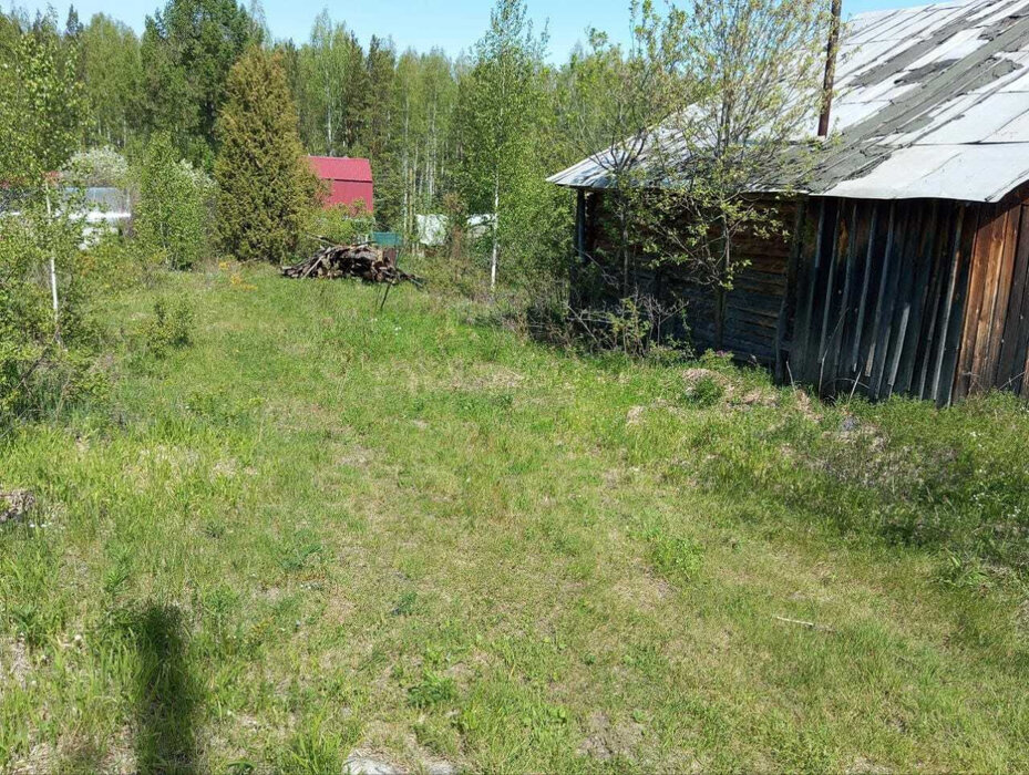 п. Аять, СНТ Надежда, уч. 80 (городской округ Невьянский) - фото сада (2)