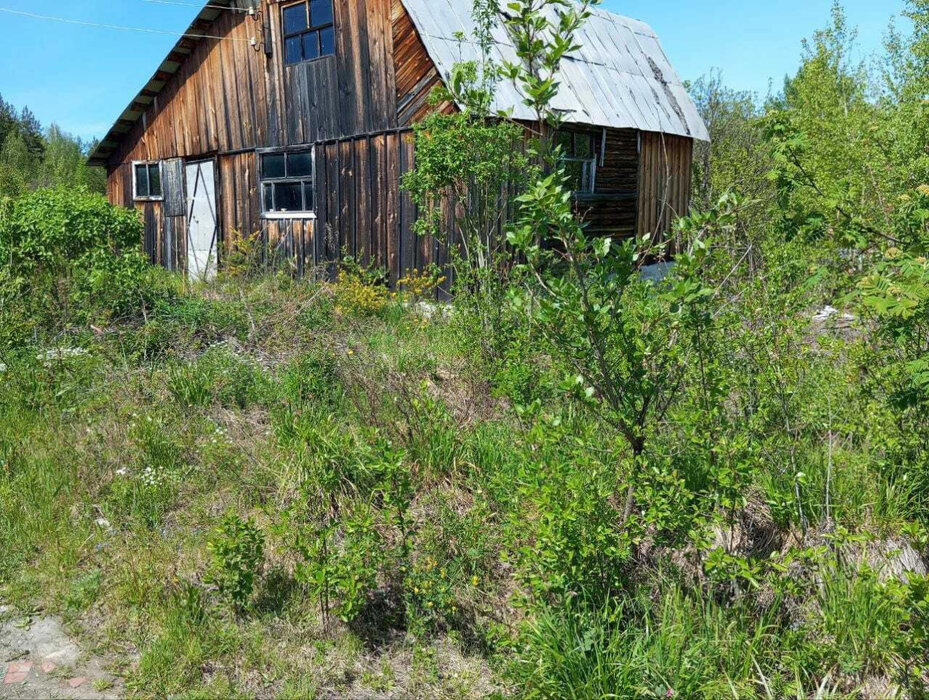 п. Аять, СНТ Надежда, уч. 80 (городской округ Невьянский) - фото сада (3)
