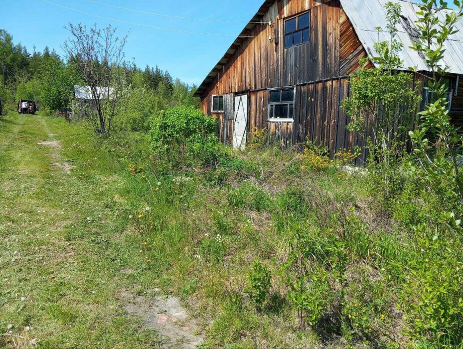 п. Аять, СНТ Надежда, уч. 80 (городской округ Невьянский) - фото сада (4)