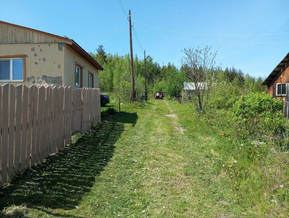п. Аять, СНТ Надежда, уч. 80 (городской округ Невьянский) - фото сада (6)