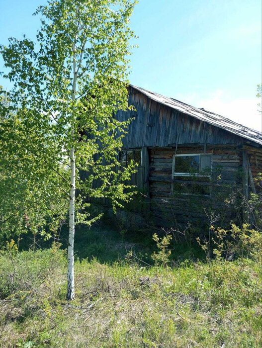 п. Аять, СНТ Надежда, уч. 80 (городской округ Невьянский) - фото сада (7)