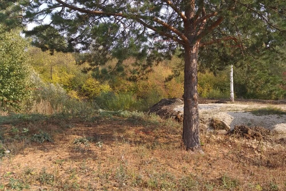 п. Чусовая, ул. Набережная, 24 (городской округ Город Дегтярск) - фото коттеджа (8)