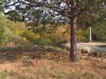 Продажа коттеджей: п. Чусовая, ул. Набережная, 24 (городской округ Город Дегтярск) - Фото 8