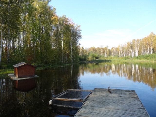 к.п. Князевское (городской округ Первоуральск, п. Хрустальная) - фото земельного участка (5)