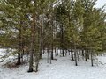 Продажа садового участка: г. Ревда, СОНТ Медик (городской округ Ревда) - Фото 2