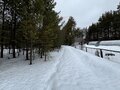 Продажа садового участка: г. Ревда, СОНТ Медик (городской округ Ревда) - Фото 6