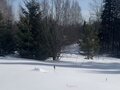 Продажа земельного участка: п. Гусевка, ул. Пихтовая (городской округ Ревда) - Фото 3
