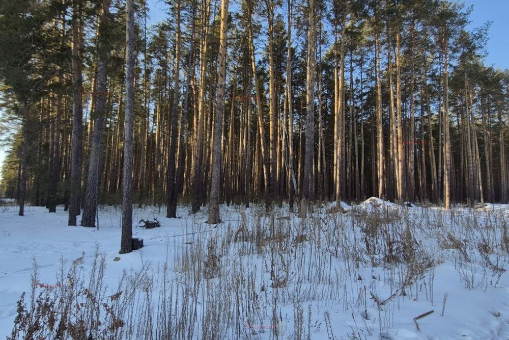 г. Сысерть, ул. Екатерининская,   (городской округ Сысертский) - фото земельного участка (3)