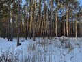 Продажа земельного участка: г. Сысерть, ул. Екатерининская,   (городской округ Сысертский) - Фото 3