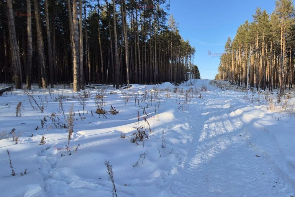 г. Сысерть, ул. Екатерининская,   (городской округ Сысертский) - фото земельного участка (4)