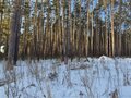Продажа земельного участка: г. Сысерть, ул. Екатерининская,   (городской округ Сысертский) - Фото 5