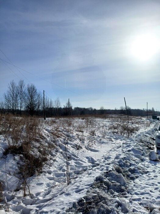 д. Колясникова, ул. Свердлова, 17 (городской округ Камышловский) - фото земельного участка (1)