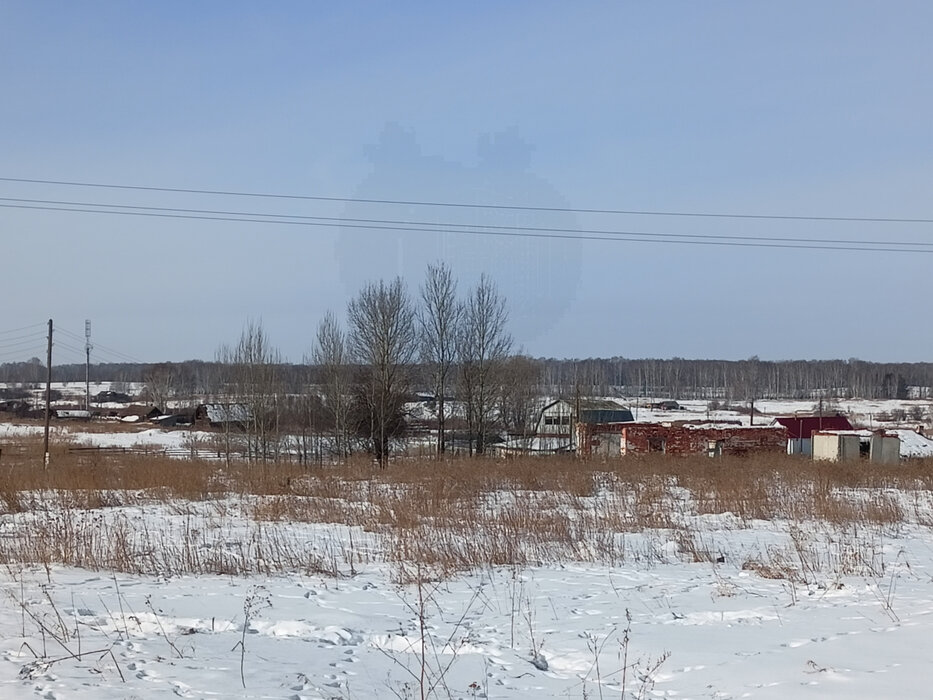 д. Колясникова, ул. Свердлова, 17 (городской округ Камышловский) - фото земельного участка (2)